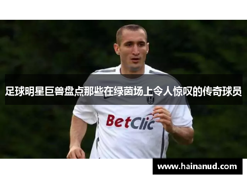 足球明星巨兽盘点那些在绿茵场上令人惊叹的传奇球员